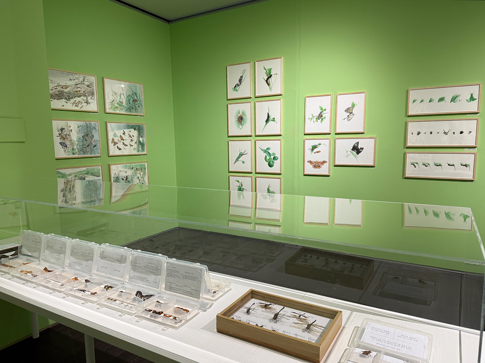 《자연의 기록자들》 전시 전경