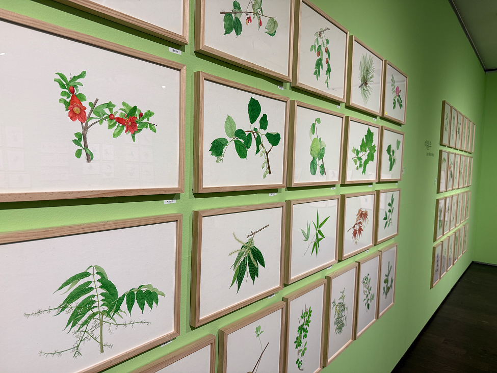 《자연의 기록자들》 전시 전경